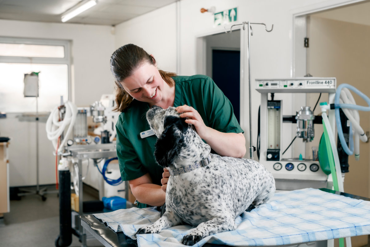 Happy dog cuddles with Vet