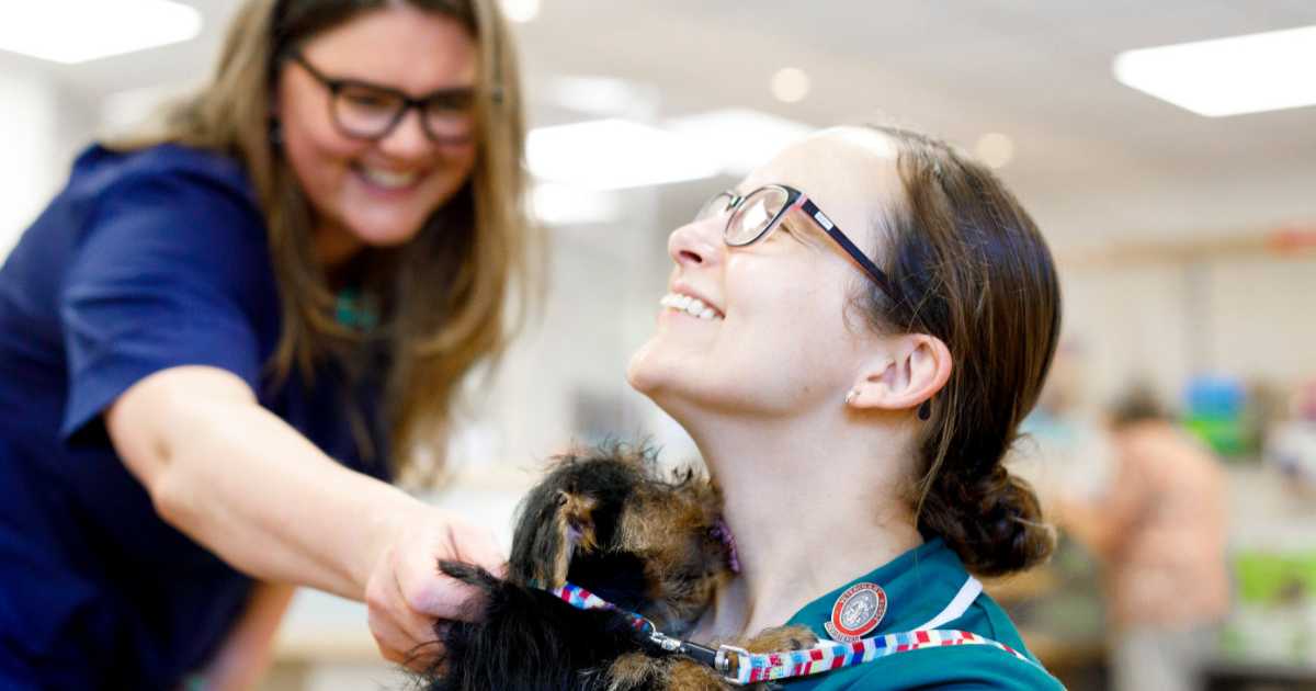 Aldgate Team with pet