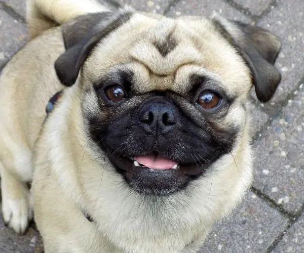 BOAS-BILLIE-CASE-STUDY (7)