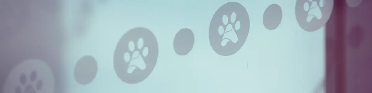 sustainability-photo (1)