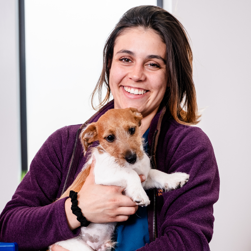 Gwen
