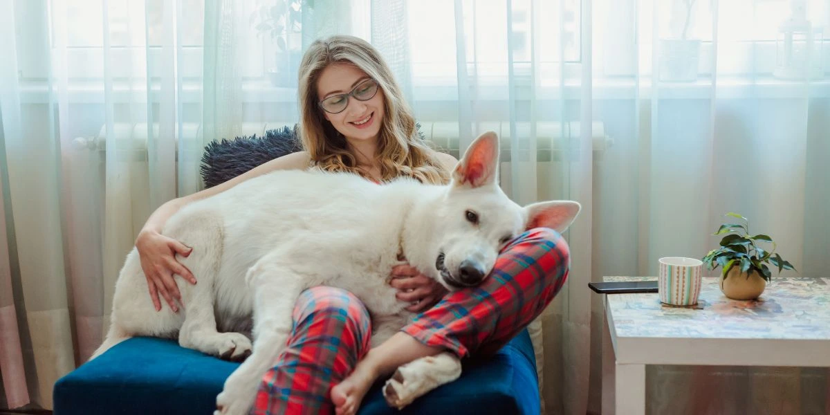 cuddling dog