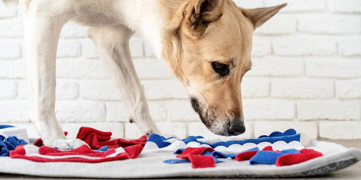 dog with snuffle mat