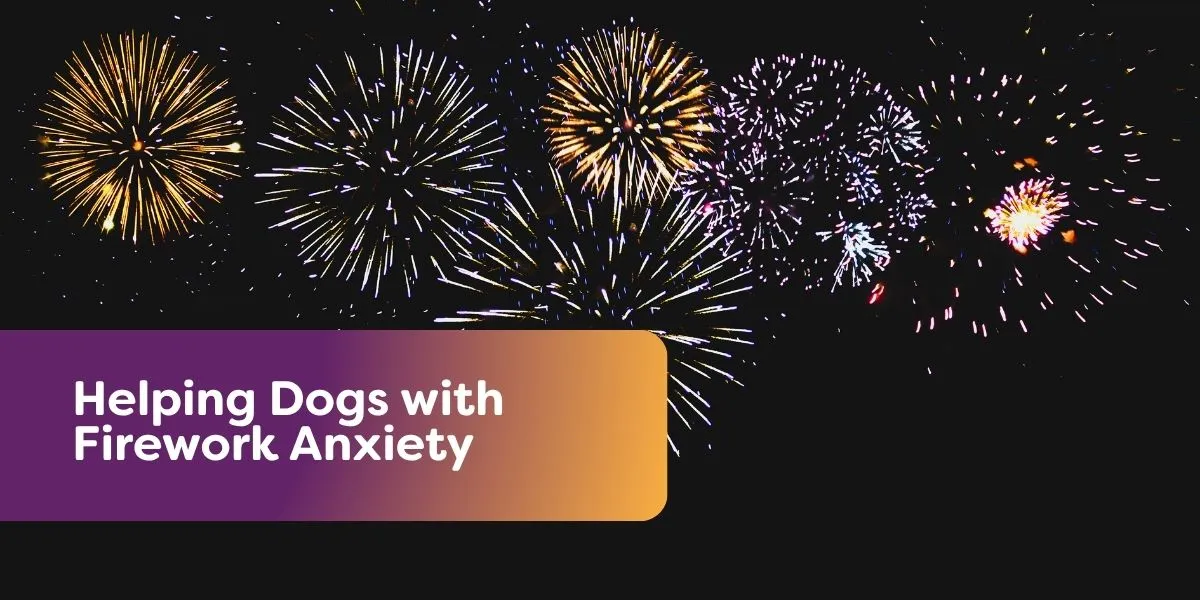 helping dogs with firwork anxiety