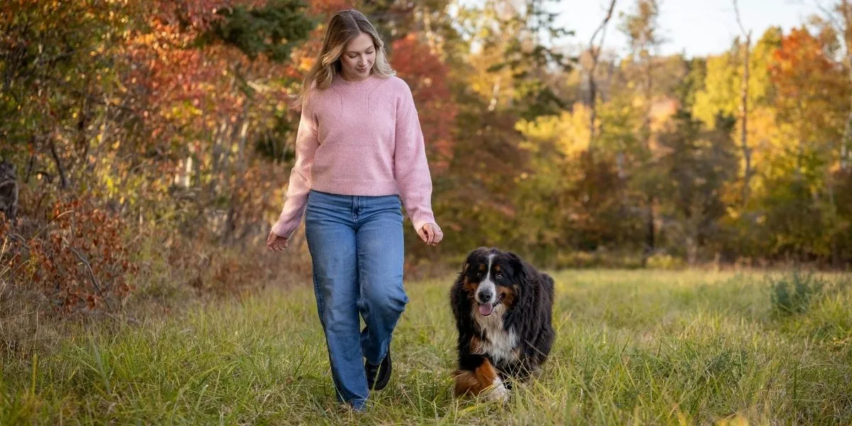 walking dog in field